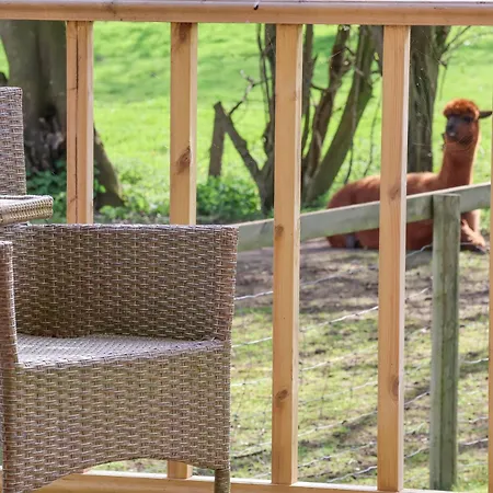 Dom wakacyjny Duck Bedale