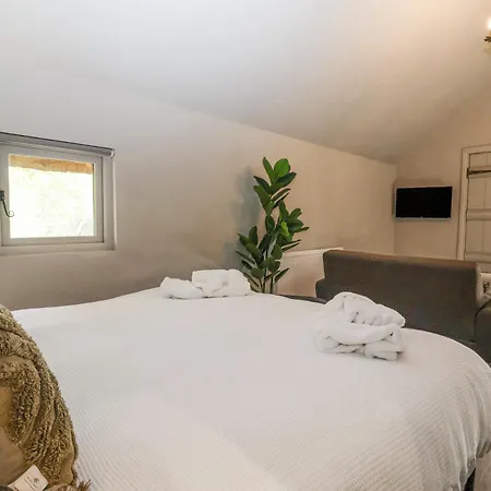 Duck Dom wakacyjny *