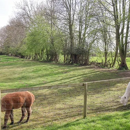 Dom wakacyjny Duck *