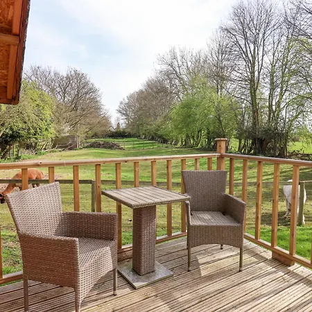 Duck Dom wakacyjny *