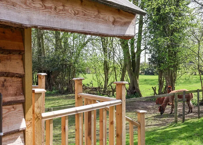 Сasa de vacaciones Duck Bedale