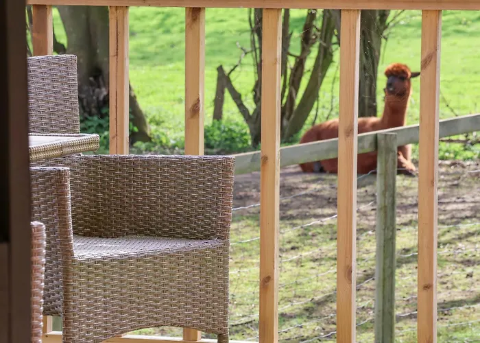 Сasa de vacaciones Duck Bedale