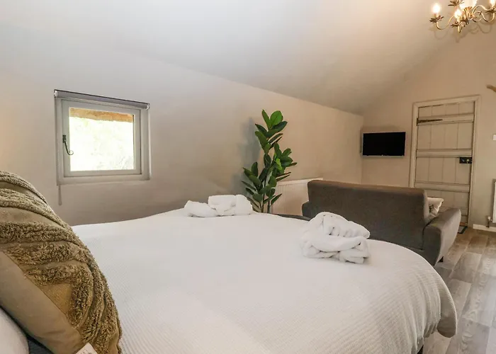 Duck Сasa de vacaciones *