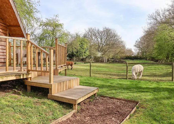 Duck Сasa de vacaciones Bedale