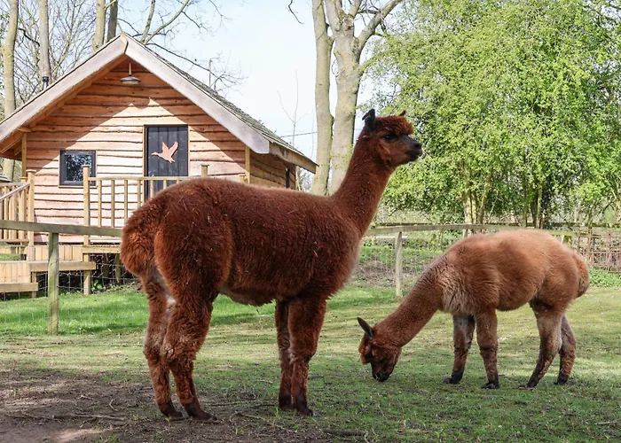 Duck Сasa de vacaciones *
